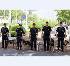 特衛(wèi)服務(wù)